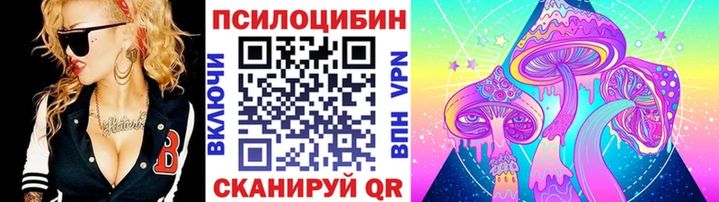 Купить  Севск  Галлюциногенные грибы Cubensis 